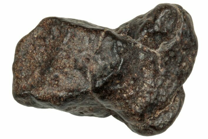 Carbonaceous Chondrite Meteorite ( g) - NWA #313762